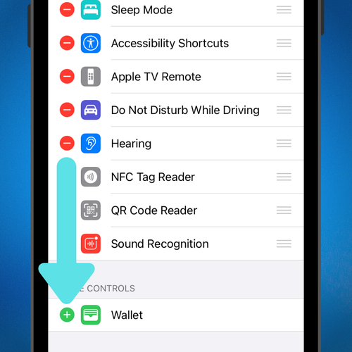You can remove a Control that you add at any time